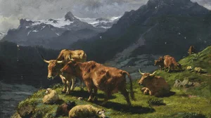 Cattle and sheep in an Alpine landscape