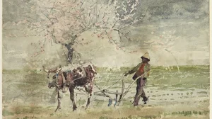 Blossom Time in Virginia
