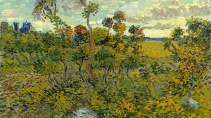 Sunset at Montmajour
