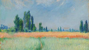 Wheatfield