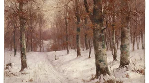 Woods in Winter