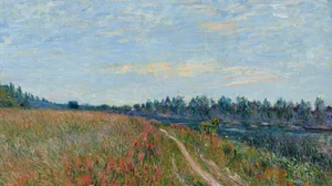 The Meadow