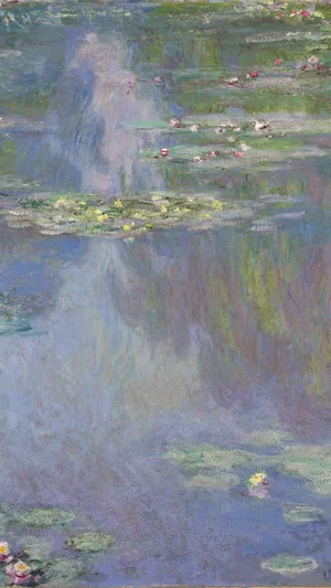 Water Lilies