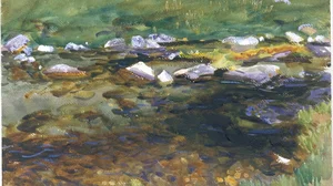Brook and Meadow