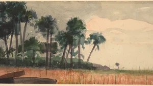 Palm Trees, Red