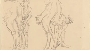 Studies for "Scots Grey"