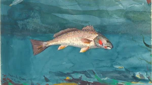 Channel Bass