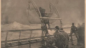 The Signal of Distress