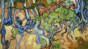 Tree Roots