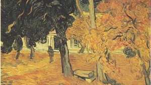 Garden of Saint-Paul Hospital, The