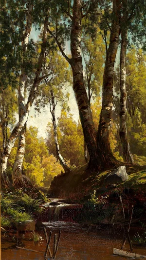 Forest Creek