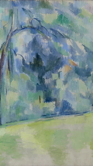 Le matin en Provence (Morning in Provence)