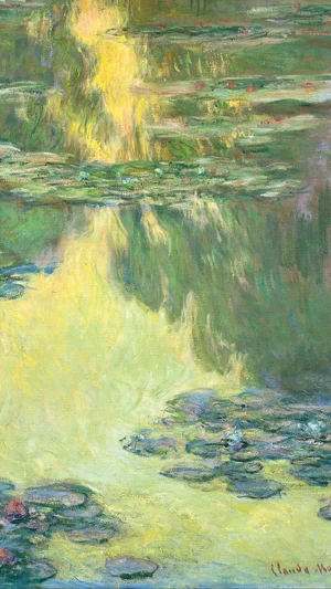 Waterlilies