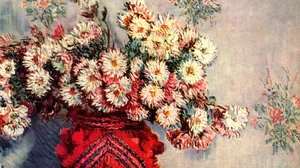 Chrysanths
