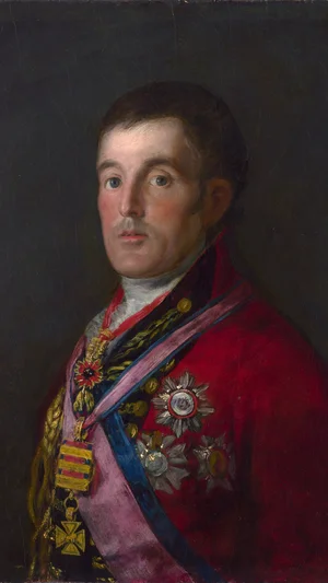 Portrait of the Duke of Wellington