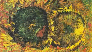 Two Cut Sunflowers