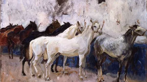 Horses at Palma