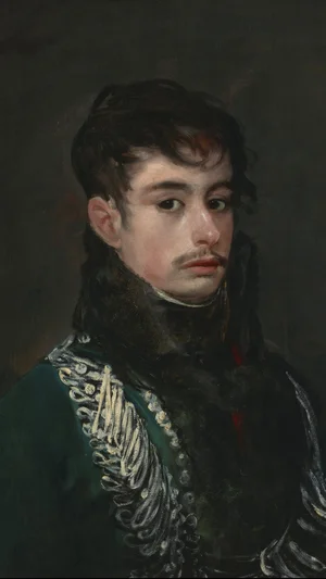 An Officer (probably the Count of Teba)