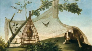 Hunting with a decoy