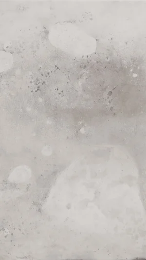 Embryos4