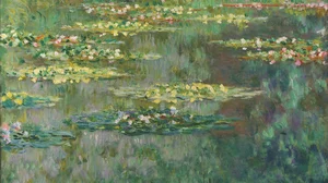 Le Bassin des Nympheas