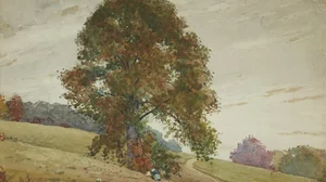 Le Marronnier