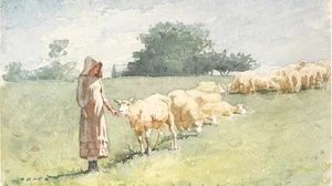 Niña y oveja