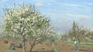 Orchard in Bloom, Louveciennes