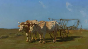 Two white oxen pulling a cart