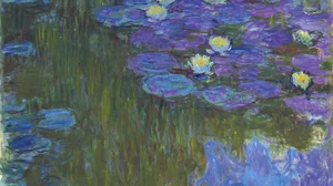 Nymphéas en fleur