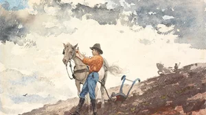 Rapaz e cavalo arando