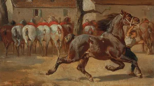 Trotting a horse