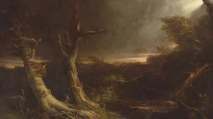 Tornado in an American Forest