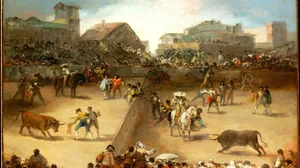 Bullfight in a Divided Ring
