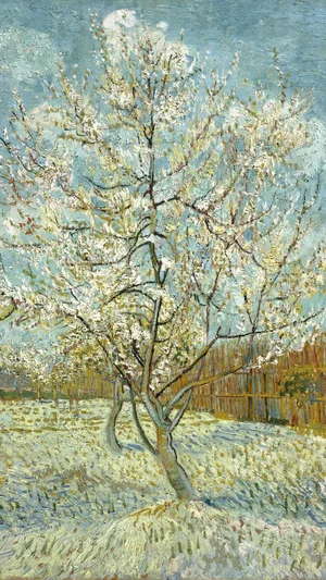 The pink peach tree