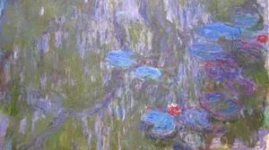 Water Lilies, Reflections of Weeping Willows