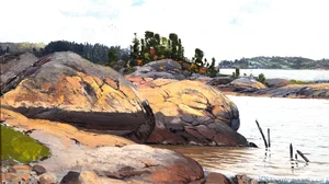 A Rocky Shore in the Archipelago