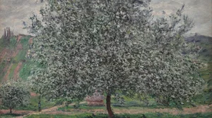 Le pommier