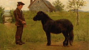 Le Dressage du Pony