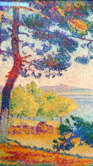 Afternoon in Pardigon