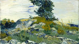 Rocks