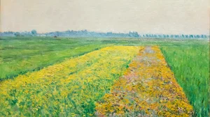 Die Ebene von Gennevilliers, gelbe Felder