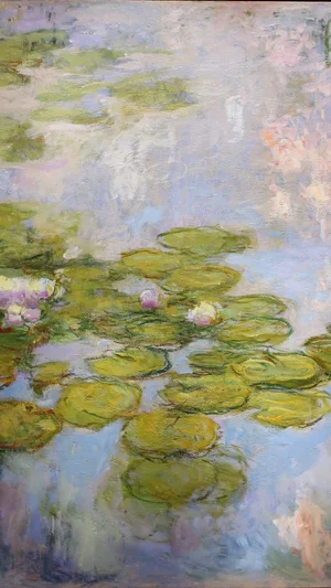 Water Lilies
