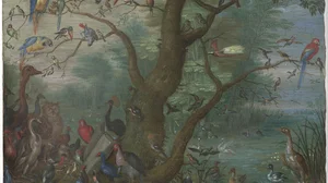 Concert of Birds