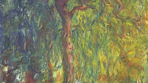 Weeping Willow