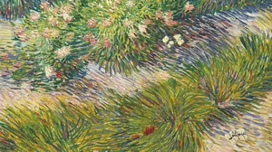 Grass and Butterflies
