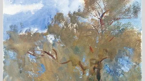 Treetops against Sky