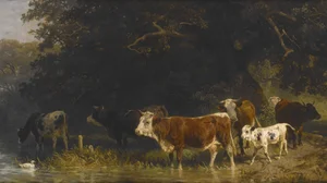 Cows at the Watering Place
