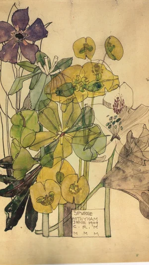 Spurge, Withyham