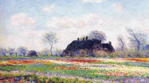 Tulip Fields at Sassenheim